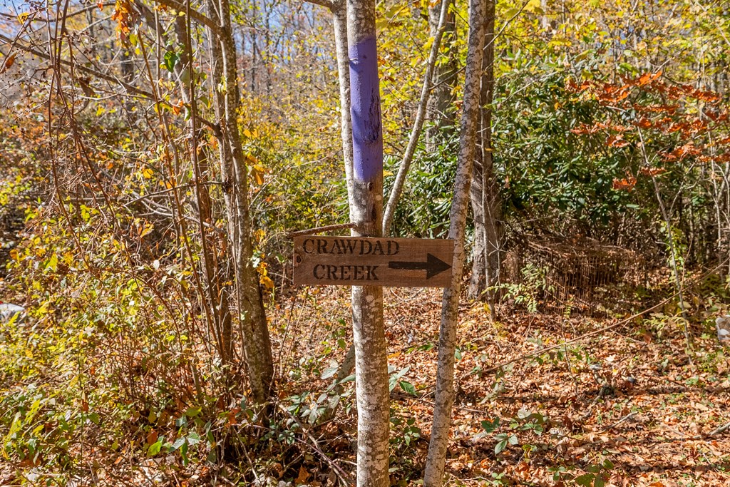 Fancy Gap, Virginia 24328, United States, ,Land,Pending,37408