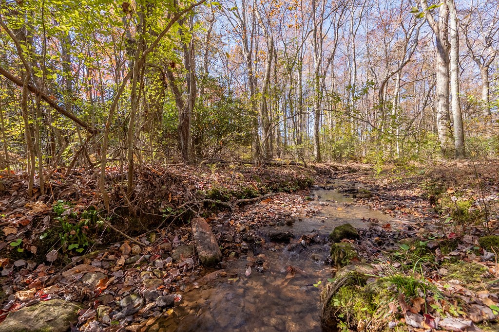 Fancy Gap, Virginia 24328, United States, ,Land,Pending,37408