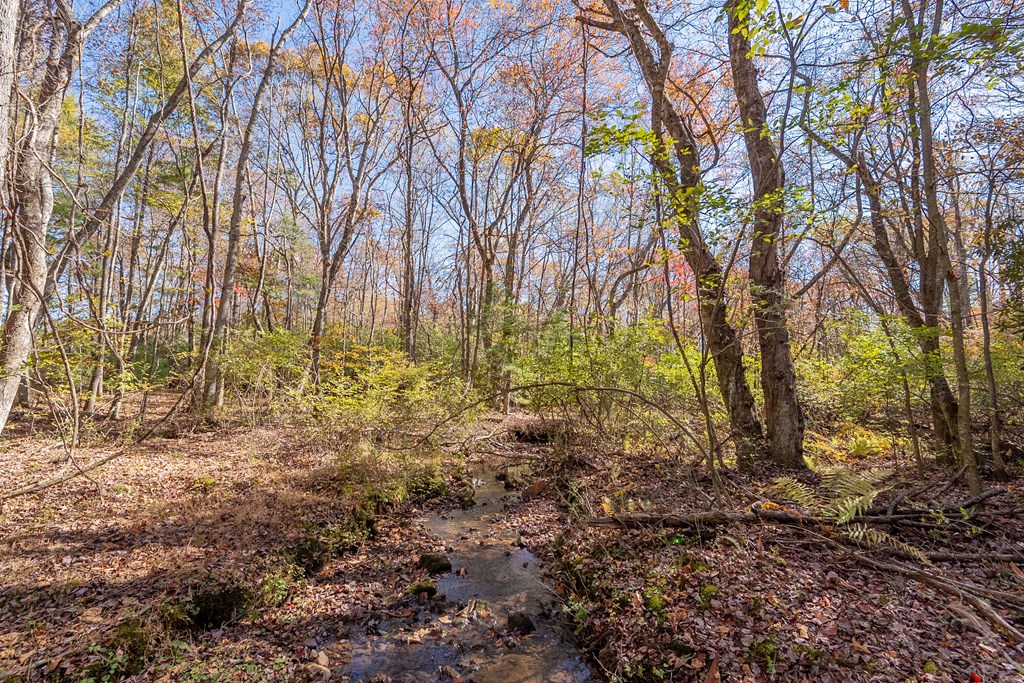 Fancy Gap, Virginia 24328, United States, ,Land,Pending,37408