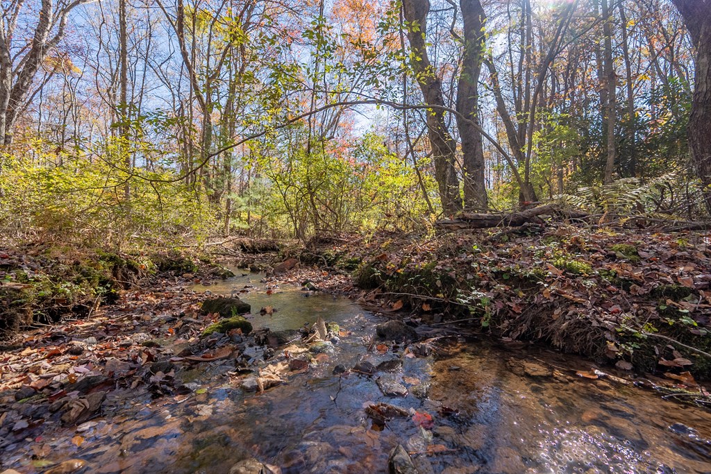 Fancy Gap, Virginia 24328, United States, ,Land,Pending,37408