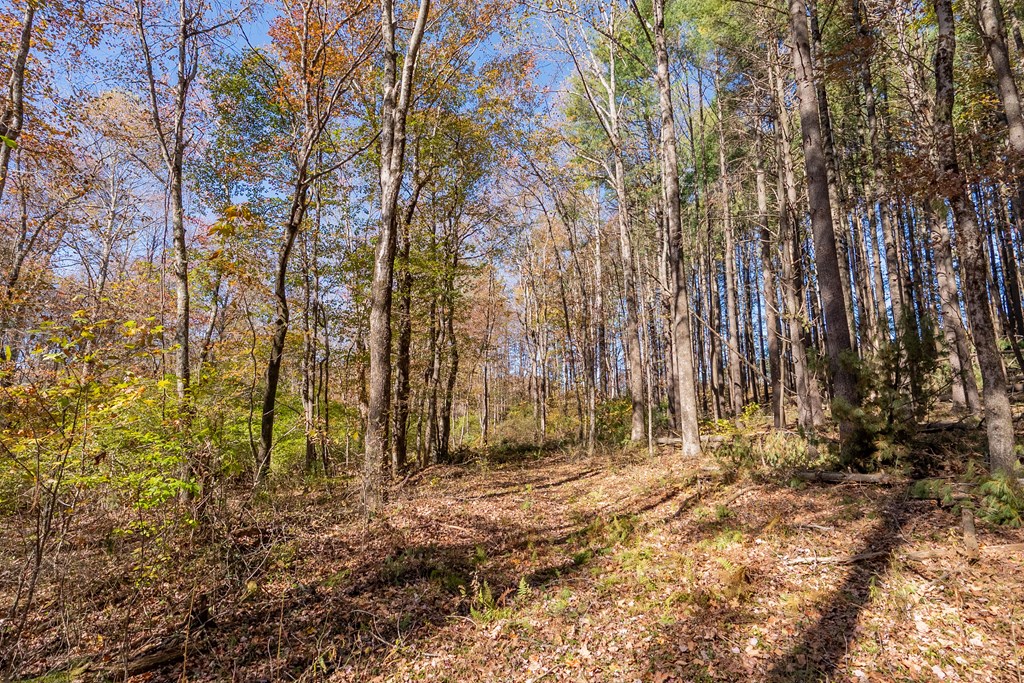 Fancy Gap, Virginia 24328, United States, ,Land,Pending,37408