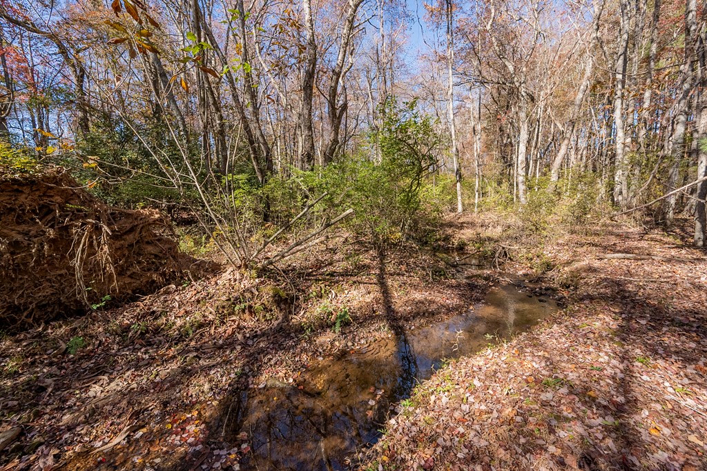 Fancy Gap, Virginia 24328, United States, ,Land,Pending,37408