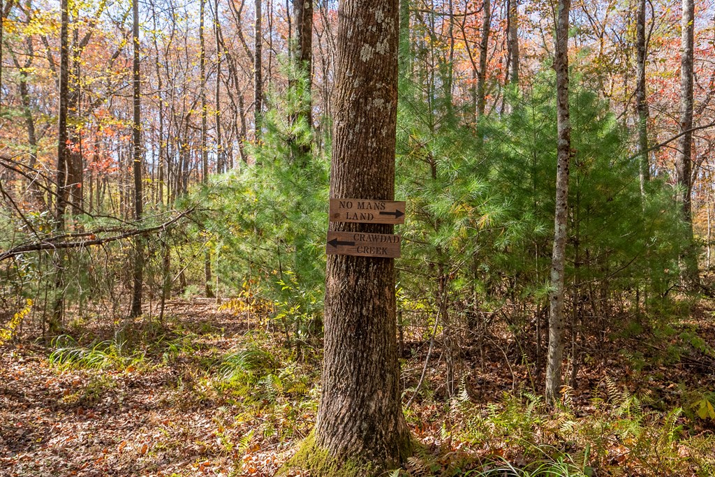 Fancy Gap, Virginia 24328, United States, ,Land,Pending,37408