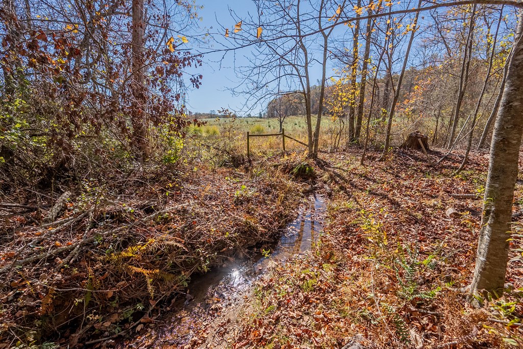 Fancy Gap, Virginia 24328, United States, ,Land,Pending,37408