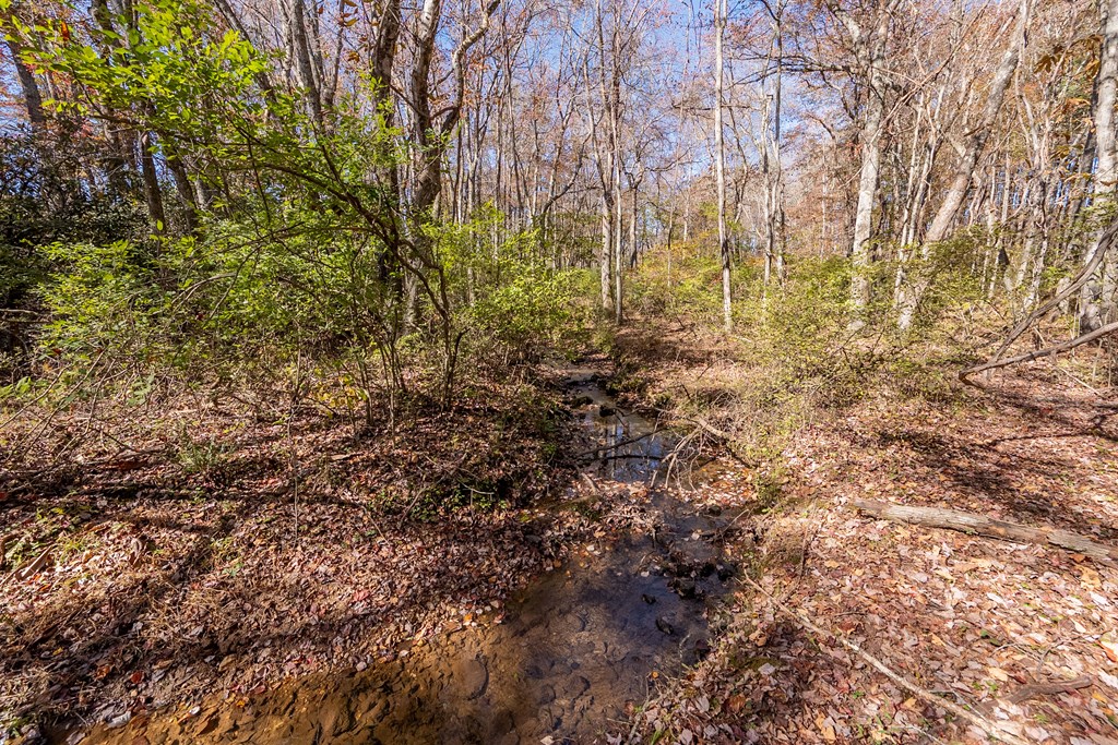 Fancy Gap, Virginia 24328, United States, ,Land,Pending,37408