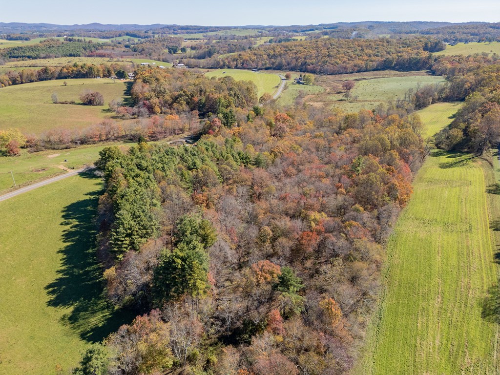 Fancy Gap, Virginia 24328, United States, ,Land,Pending,37408