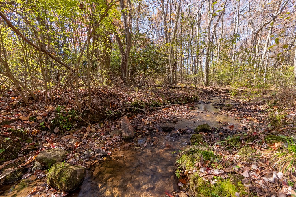 Fancy Gap, Virginia 24328, United States, ,Land,Pending,37408