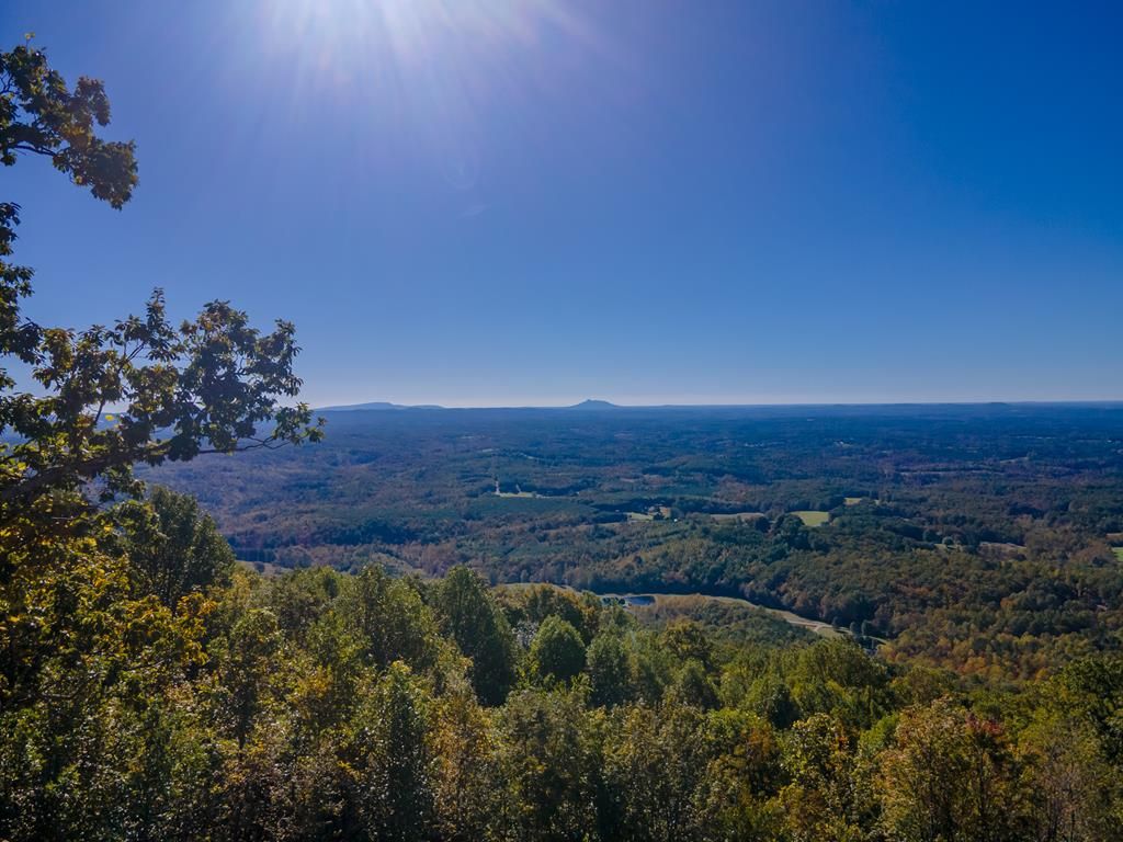 Photo of 78 Spring Pond Trl #78, Fancy Gap, VA 24328 (MLS # 103823)