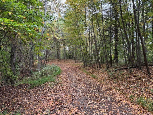 SOAPRIDGE RD, DUGSPUR, VA 24325 - Image 60bc43f98bd0e21f72f4cf9231d2da20/2471637044