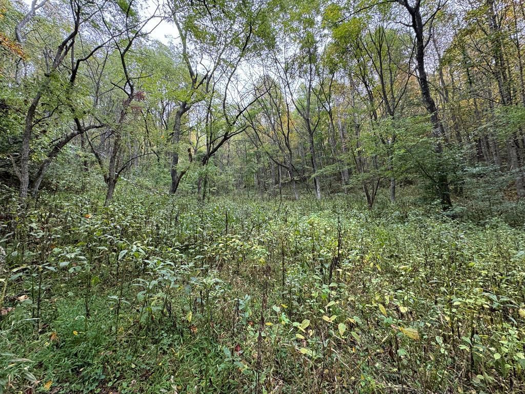 Photo of TBD Soapridge Rd #None, Dugspur, VA 24325 (MLS # 97383)