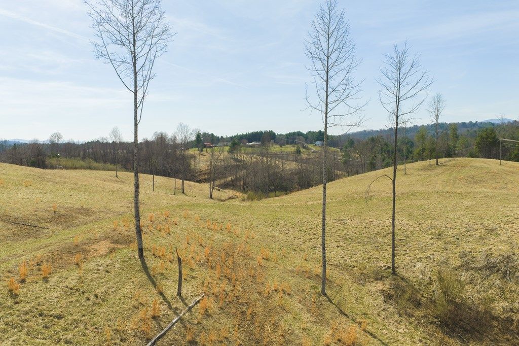 Photo of TBD Carsonville Rd #0, Independence, VA 24348 (MLS # 110095)