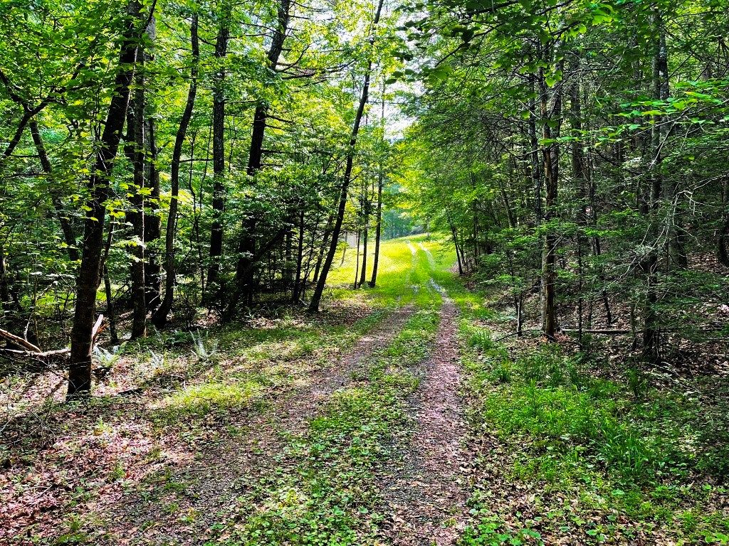 Photo of 880 Bruner Hollow Road #0, Fries, VA 24330 (MLS # 93852)