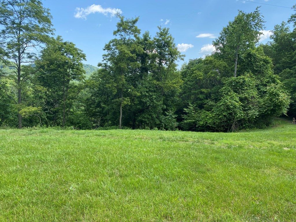 Photo of 20 Starry Nights Dr #20, Fancy Gap, VA 24328 (MLS # 94176)