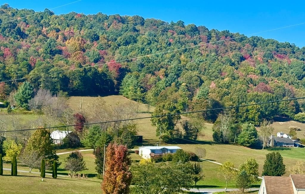 Photo of 1002 Country View Road, Rural Retreat, VA 24368 (MLS # 103722)