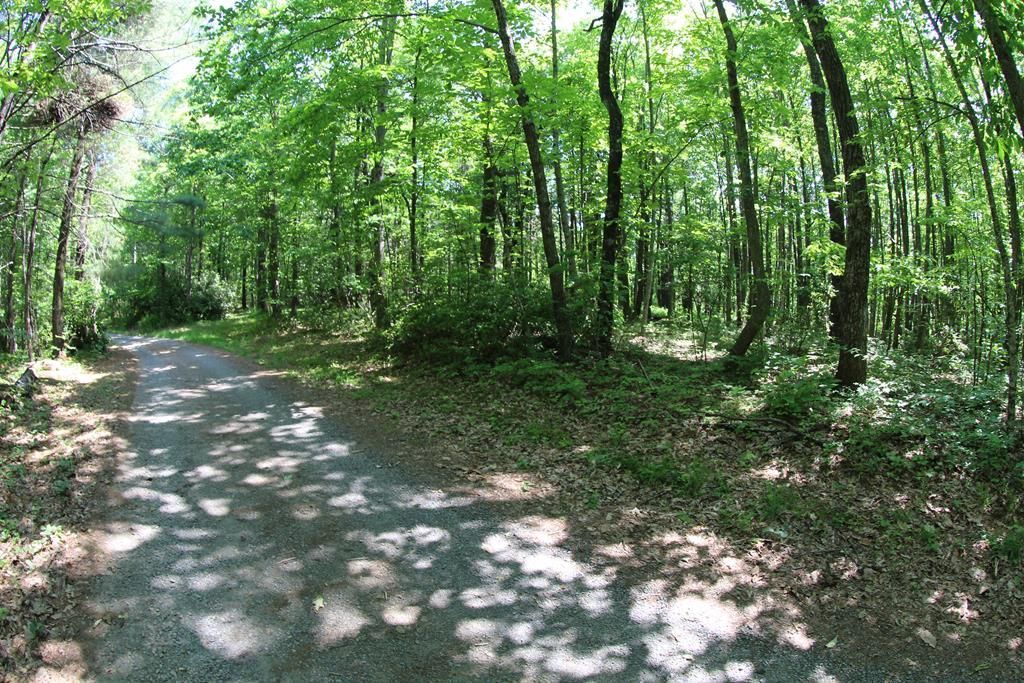 Photo of 0 Misty Acres #9, Meadows of Dan, VA 24120 (MLS # 81845)