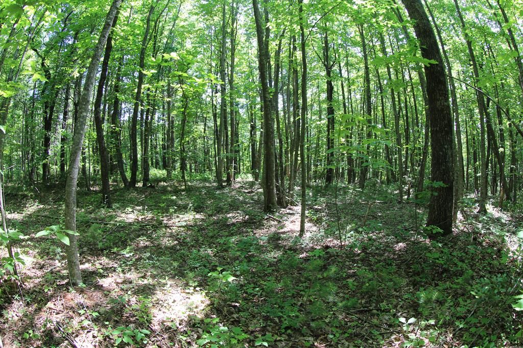 Photo of 0 Misty Acres #9, Meadows of Dan, VA 24120 (MLS # 81845)
