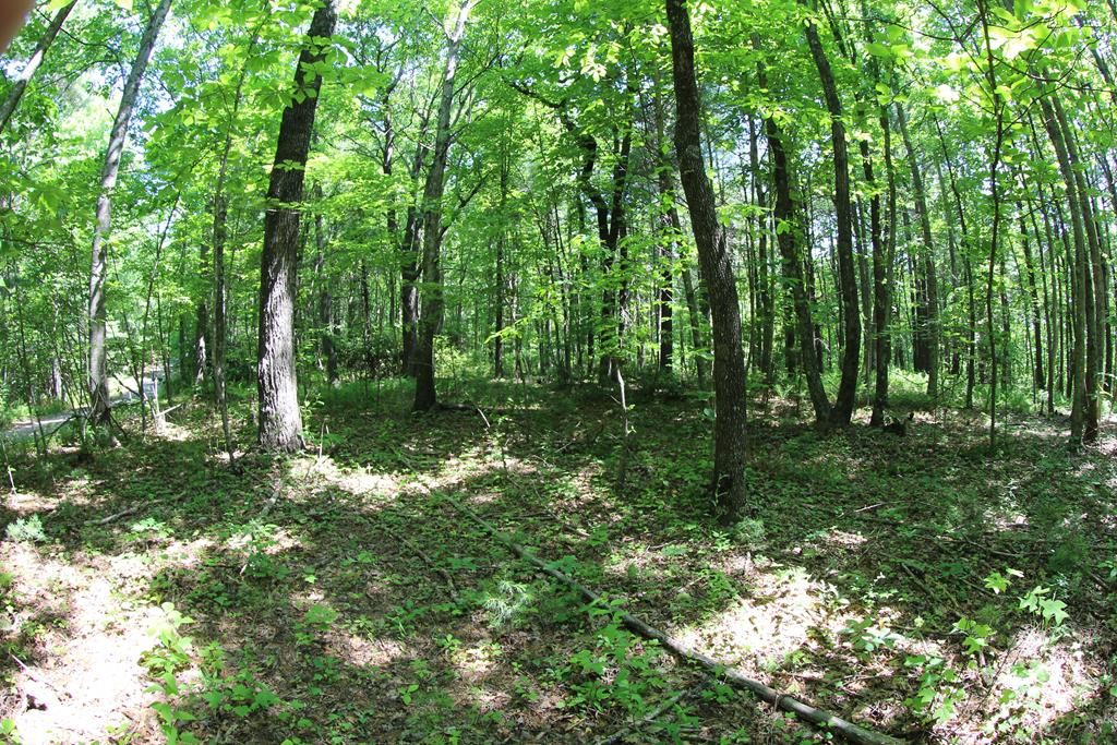 Photo of 0 Misty Acres #9, Meadows of Dan, VA 24120 (MLS # 81845)