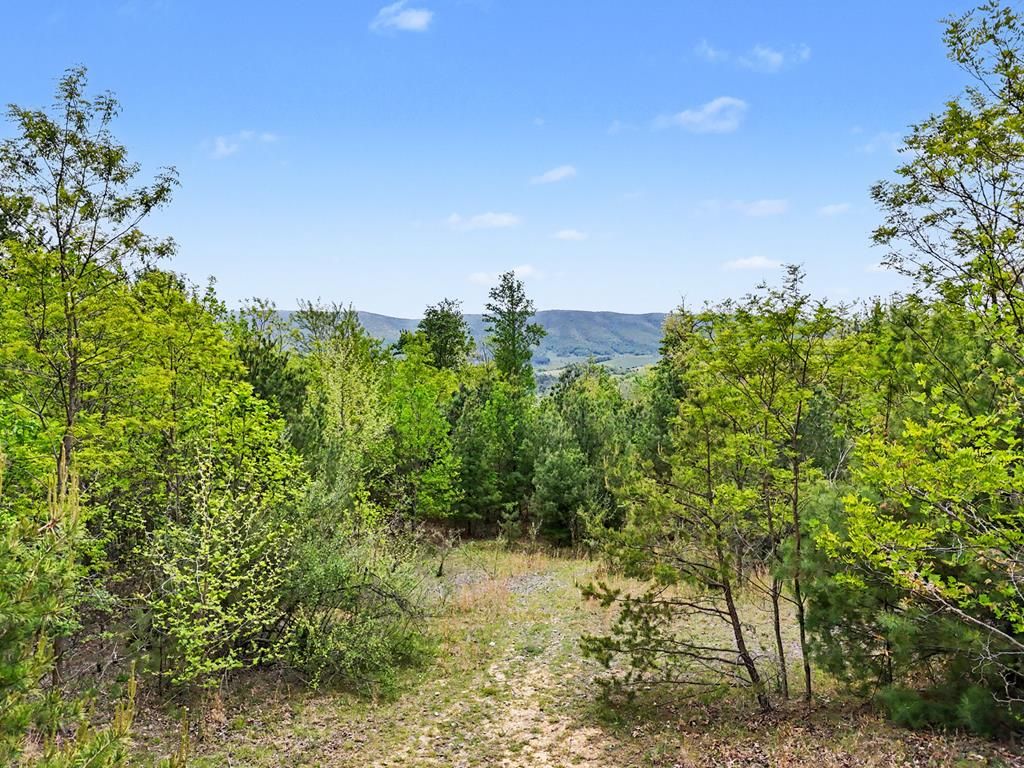 Photo of TBD High Chaparral Lane #20, Bland, VA 24315 (MLS # 110160)