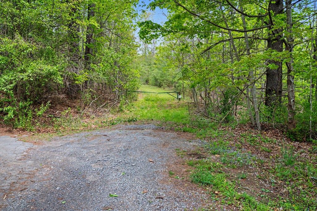 Photo of TBD High Chaparral Lane #20, Bland, VA 24315 (MLS # 110160)