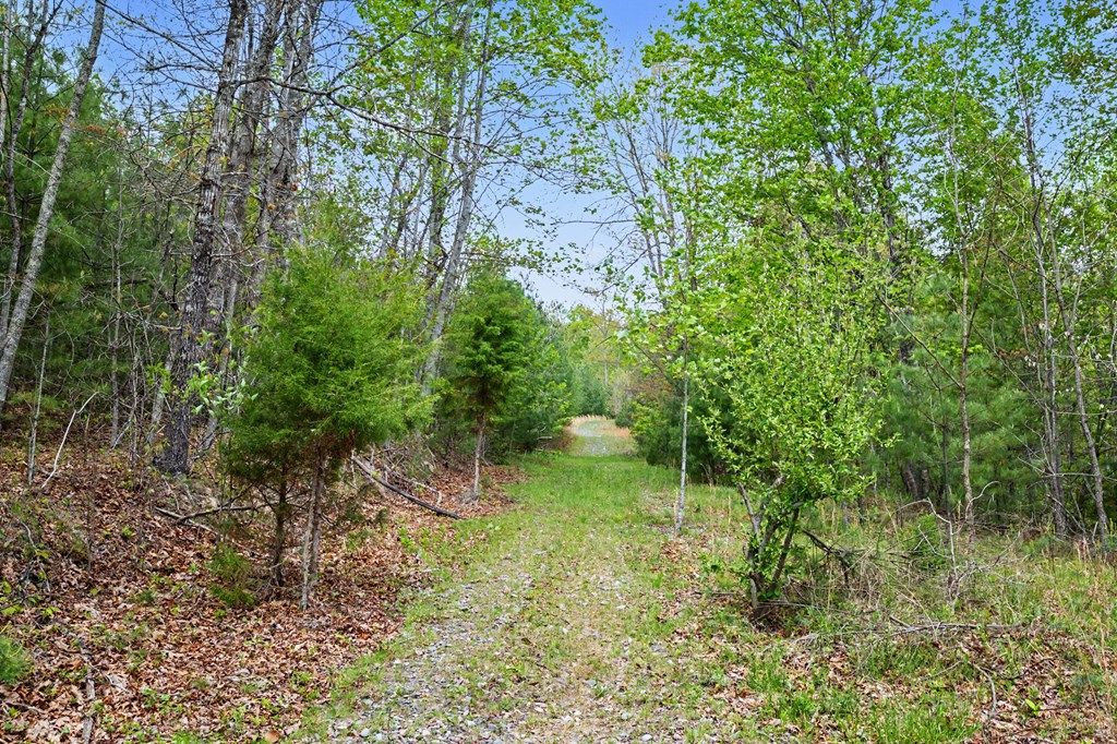 Photo of TBD High Chaparral Lane #20, Bland, VA 24315 (MLS # 110160)