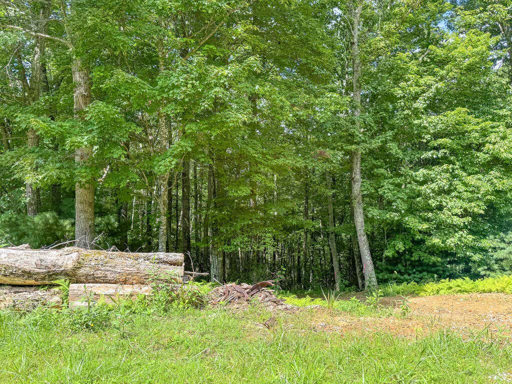 Photo of 102 Mossy Oak Ln #11, Bland, VA 24315 (MLS # 111390)