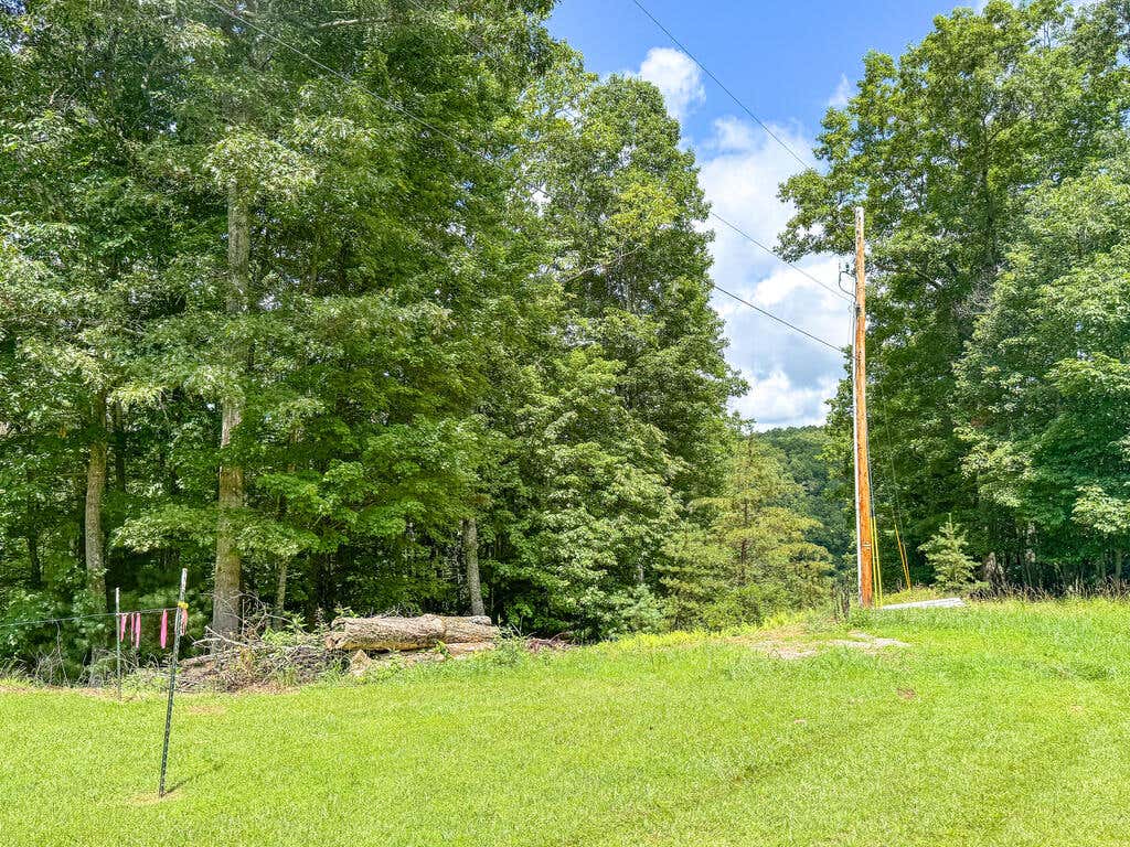 Photo of 102 Mossy Oak Ln #11, Bland, VA 24315 (MLS # 111390)