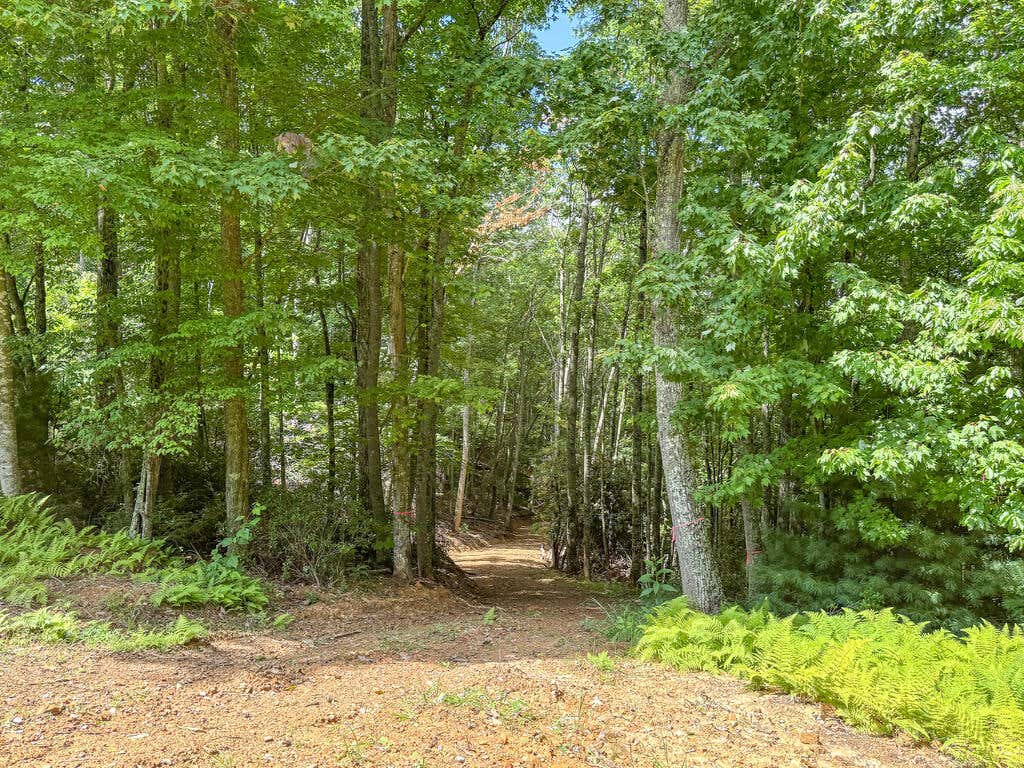 Photo of 102 Mossy Oak Ln #11, Bland, VA 24315 (MLS # 111390)