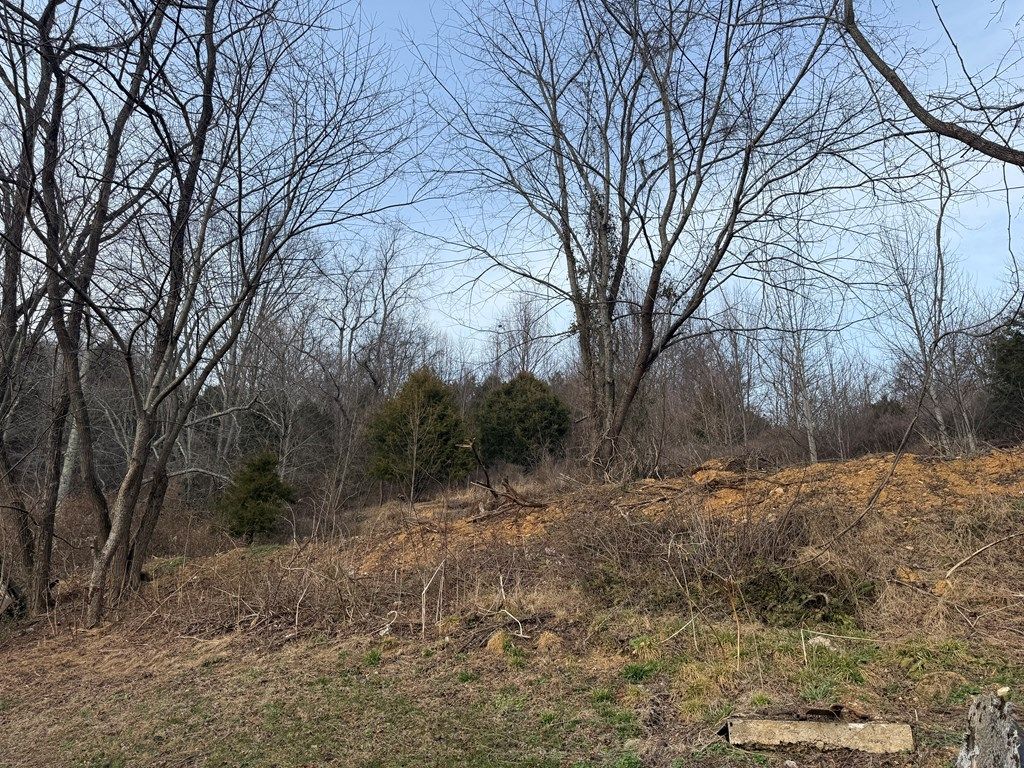 Photo of 3005 Long Hollow Road, Cleveland, VA 24225 (MLS # 104495)