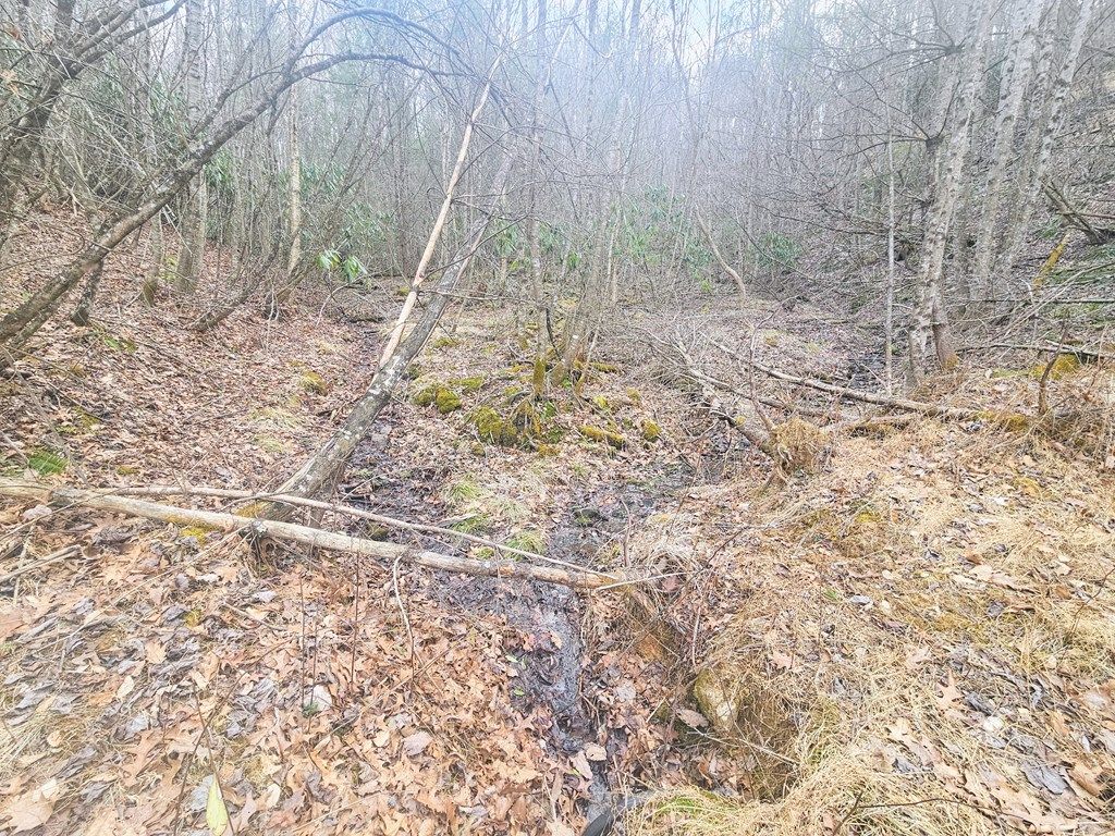 Photo of TBD Primrose Ln #NA, Troutdale, VA 24378 (MLS # 105980)