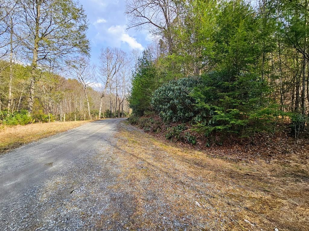 Photo of TBD Primrose Ln #NA, Troutdale, VA 24378 (MLS # 105980)