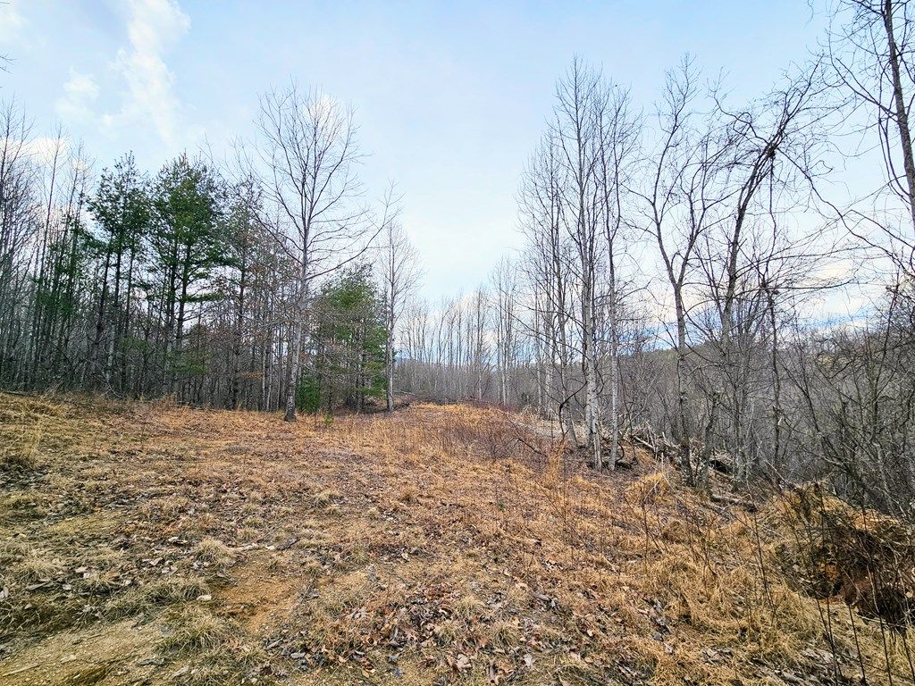 Photo of TBD Primrose Ln #NA, Troutdale, VA 24378 (MLS # 105980)