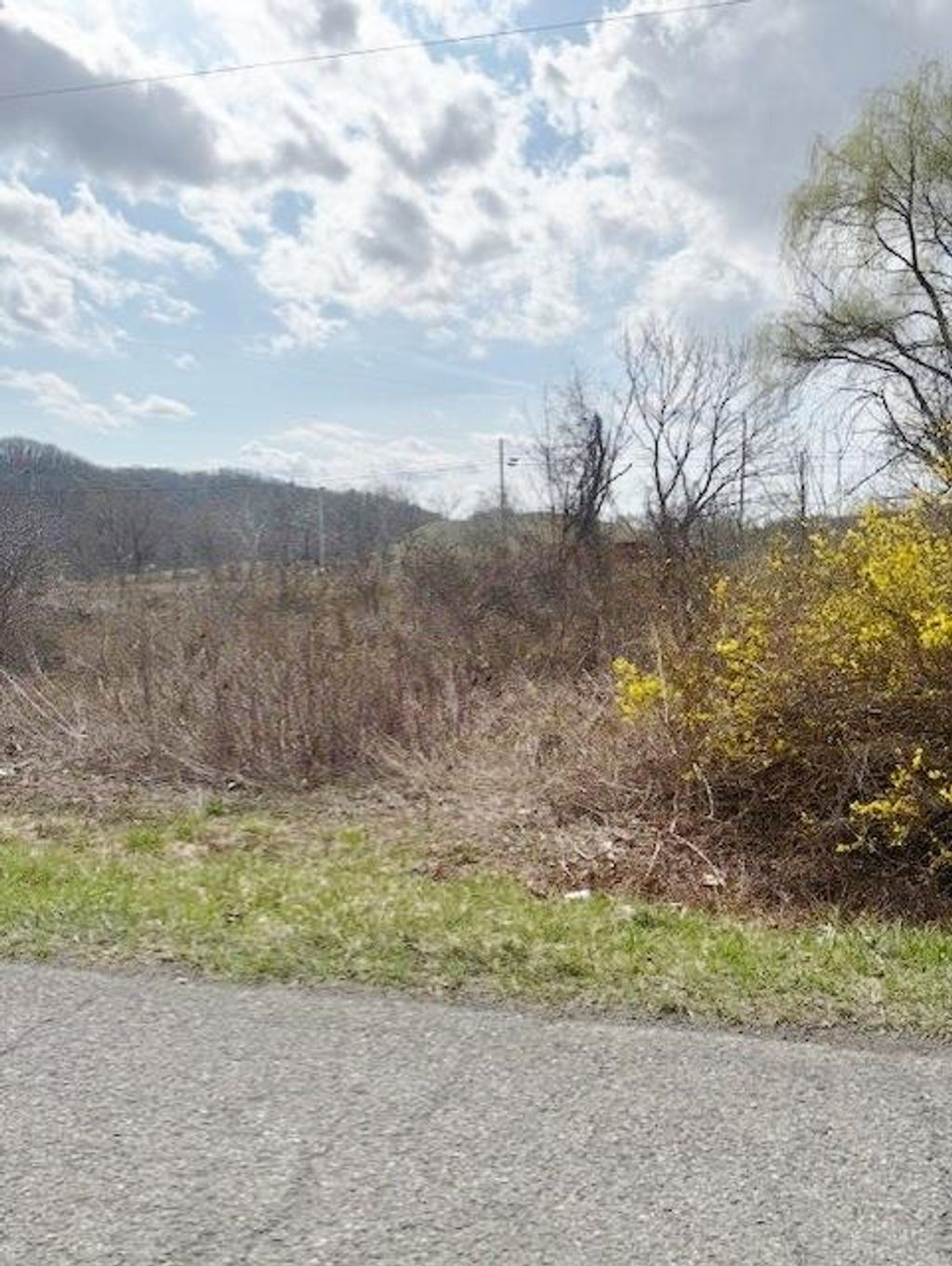 Photo of TBD Ramsey Mountain Rd #N/A, Max Meadows, VA 24360 (MLS # 109232)