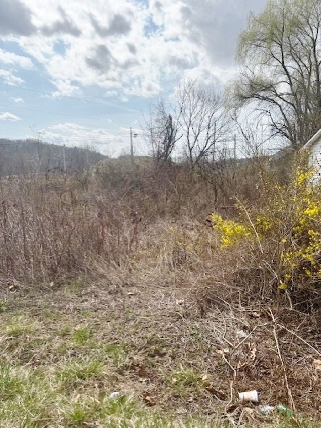 Photo of TBD Ramsey Mountain Rd #N/A, Max Meadows, VA 24360 (MLS # 109232)