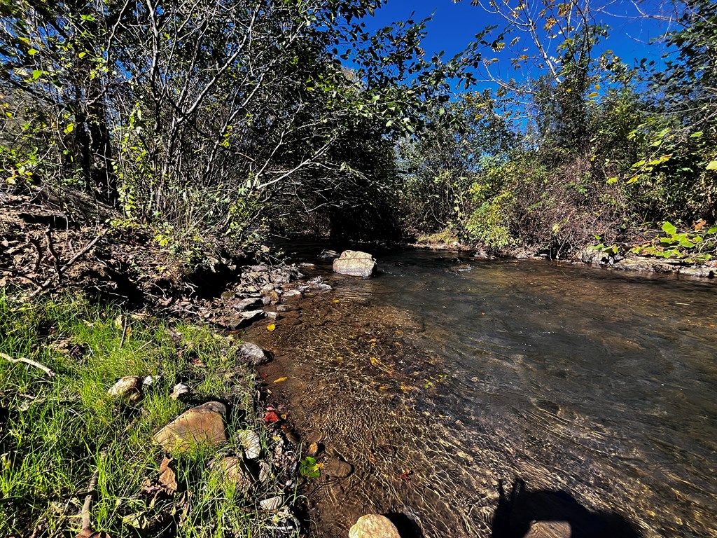 Photo of 130 Riverside Dr #14, 15, Stuart, VA 24171 (MLS # 103800)