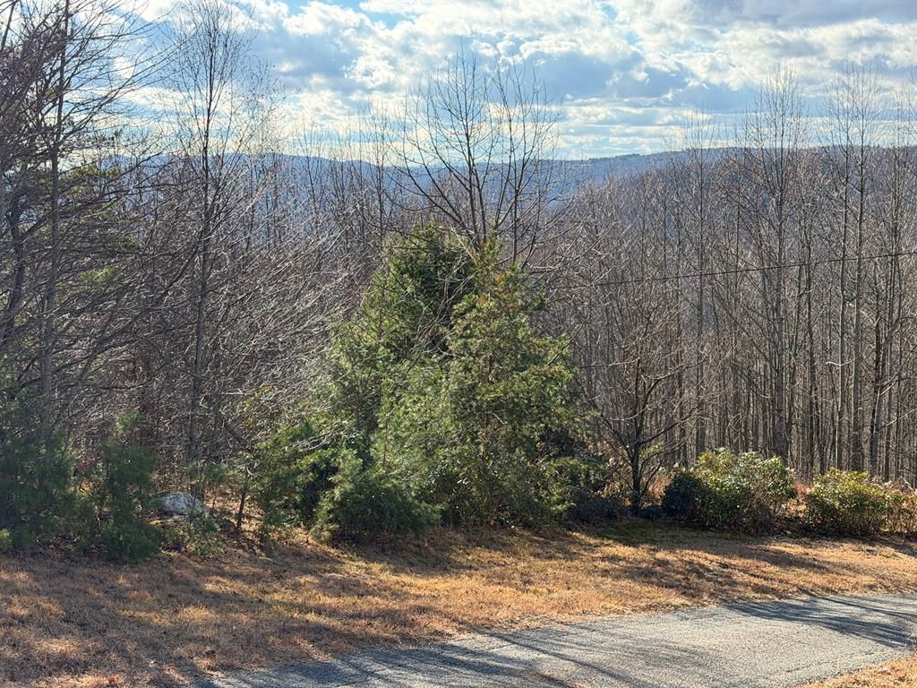 Photo of TBD Autumn Point Trl #12, Fancy Gap, VA 24328 (MLS # 104217)