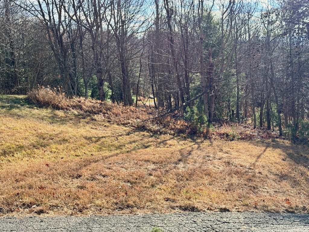 Photo of TBD Autumn Point Trl #12, Fancy Gap, VA 24328 (MLS # 104217)