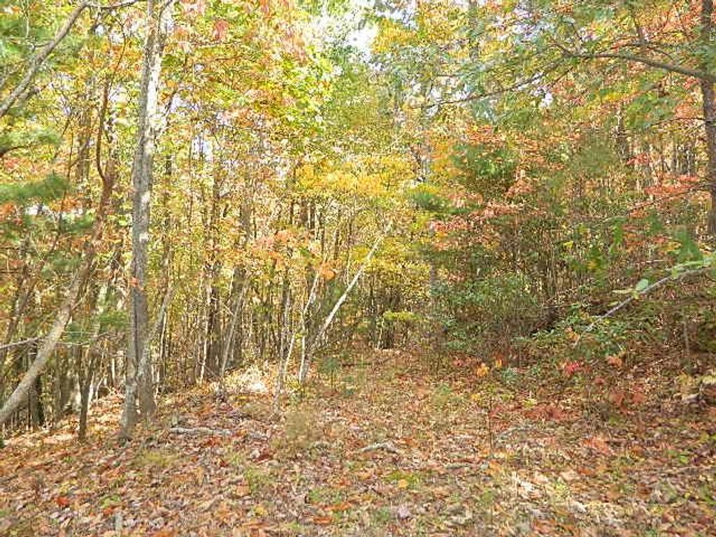 Photo of TBD Granite Lane #57, Chilhowie, VA 24319 (MLS # 103816)