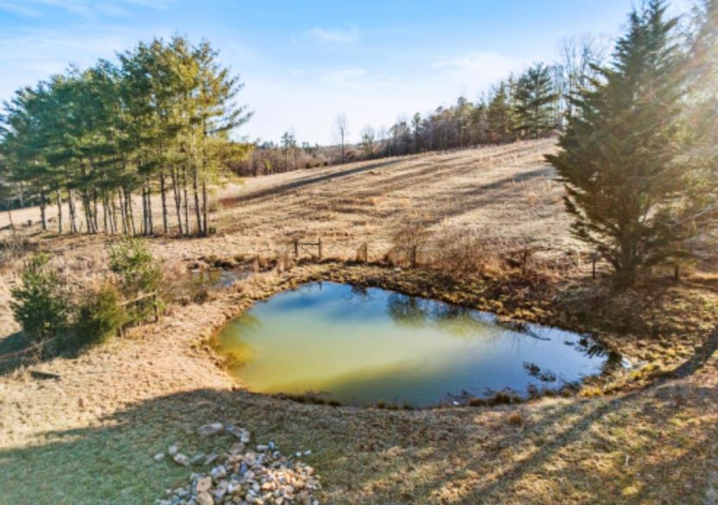 Photo of 1101 Scratch Gravel Road, Ivanhoe, VA 24350 (MLS # 98799)