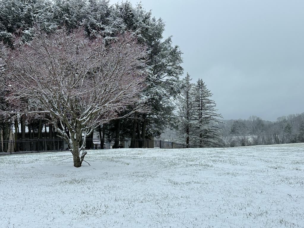 Photo of 118 Pine Cone Pt, Galax, VA 24333 (MLS # 100062)