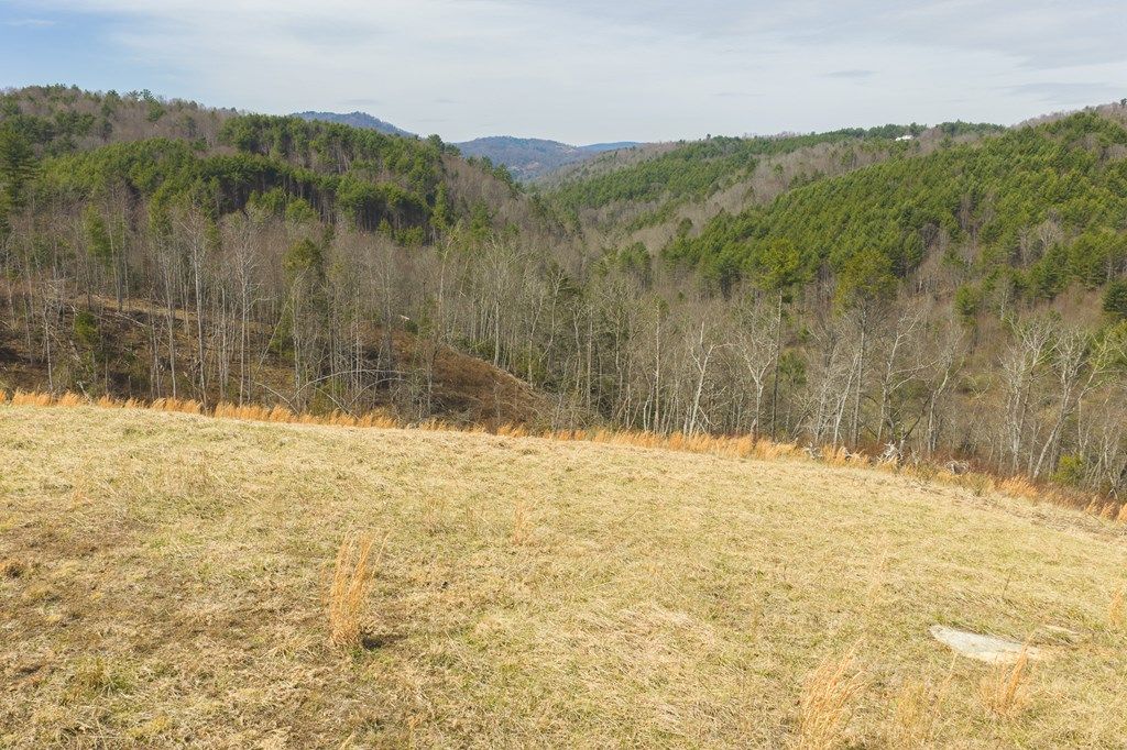 Photo of TBD Carsonville Rd, Independence, VA 24348 (MLS # 109580)