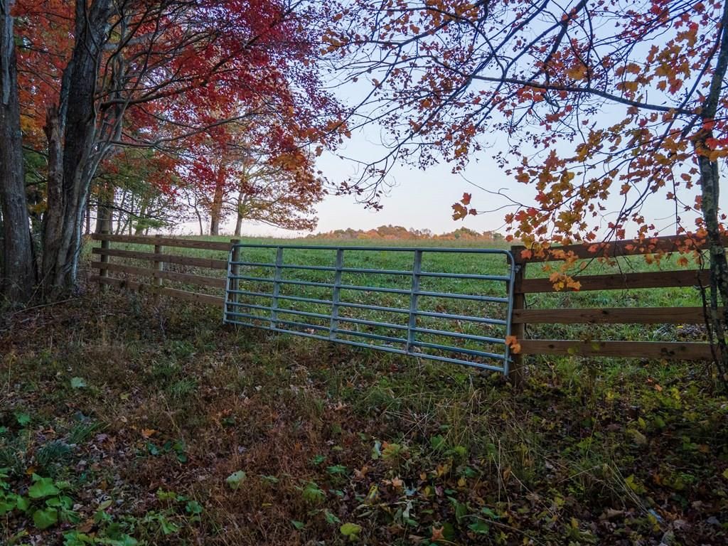 Photo of TBD Shady Grove Rd #89, Floyd, VA 24380 (MLS # 103644)