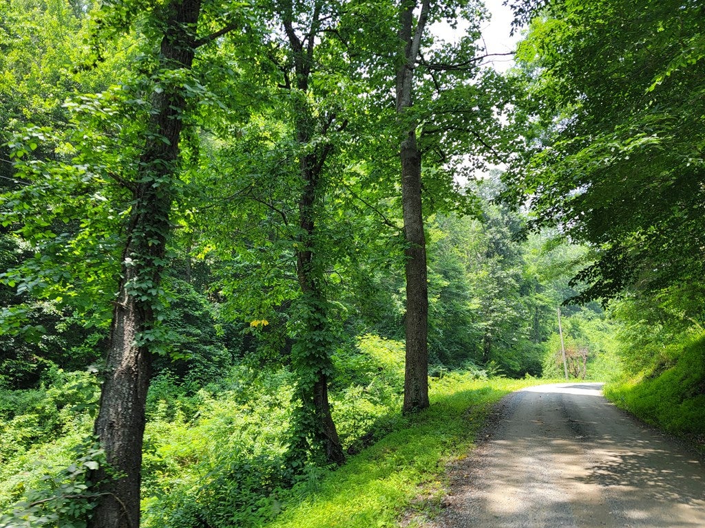 Photo of TBD Old Colonial Rd #0, Fries, VA 24330 (MLS # 110770)