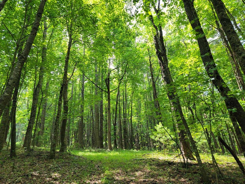 Photo of TBD Old Colonial Rd #0, Fries, VA 24330 (MLS # 110770)