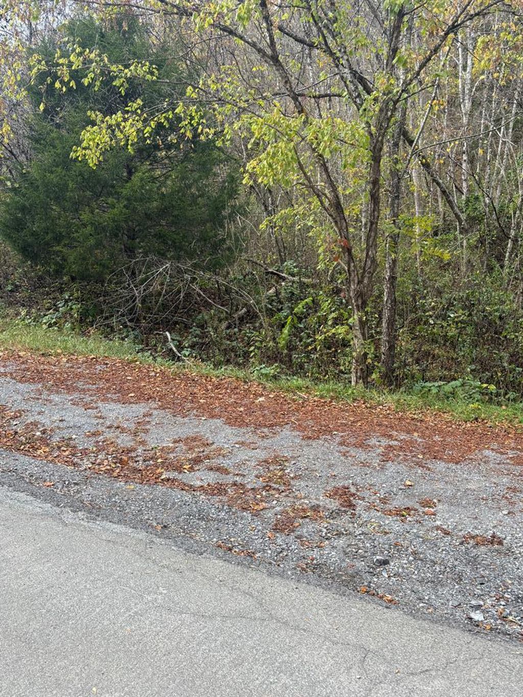 Photo of TBD Hurt Buggy Road #N/A, Cedar Bluff, VA 24609 (MLS # 103873)