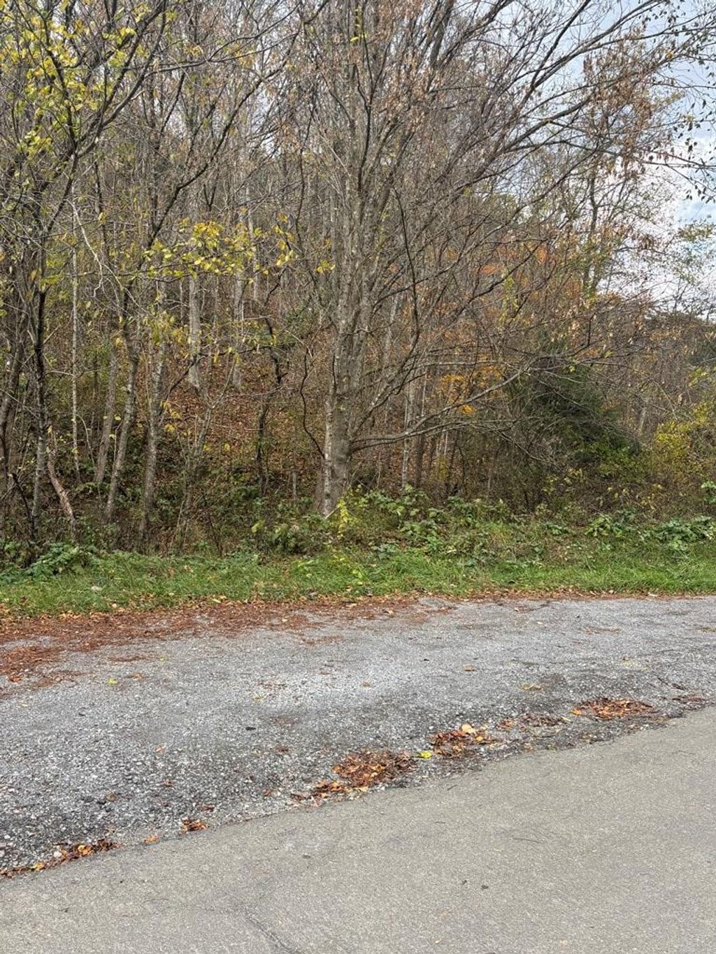 Photo of TBD Hurt Buggy Road #N/A, Cedar Bluff, VA 24609 (MLS # 103873)