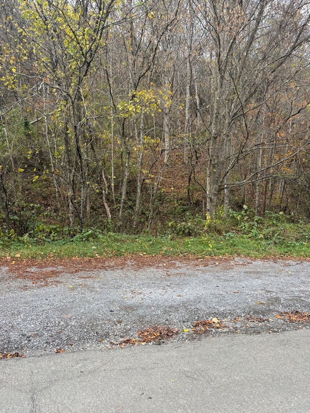 Photo of TBD Hurt Buggy Road #N/A, Cedar Bluff, VA 24609 (MLS # 103873)