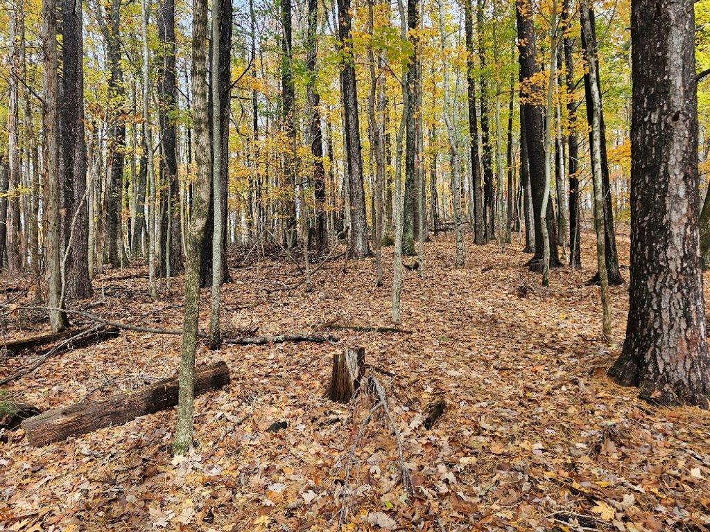 Photo of TBD Wild Flower Ln #7, Galax, VA 24333 (MLS # 103970)