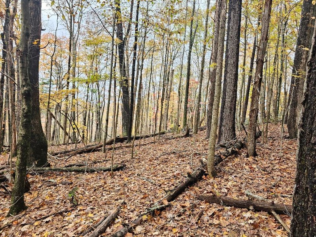 Photo of TBD Wild Flower Ln #7, Galax, VA 24333 (MLS # 103970)