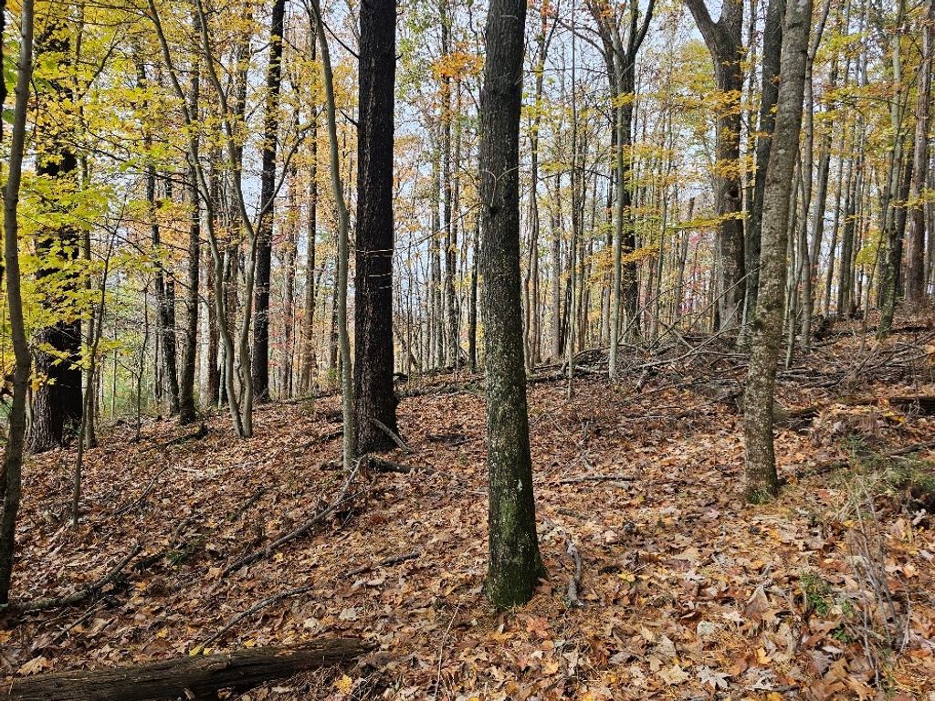 Photo of TBD Wild Flower Ln #7, Galax, VA 24333 (MLS # 103970)