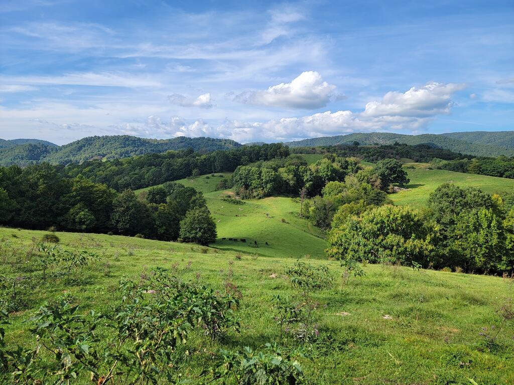 Photo of TBD Wilson Hwy #0, Independence, VA 24348 (MLS # 112378)